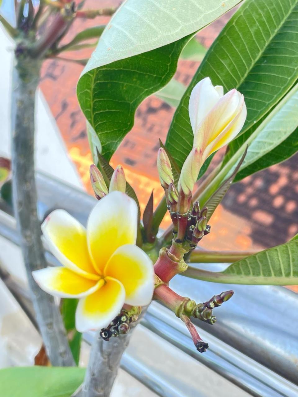 Pho Bien Hotel Nha Trang Buitenkant foto